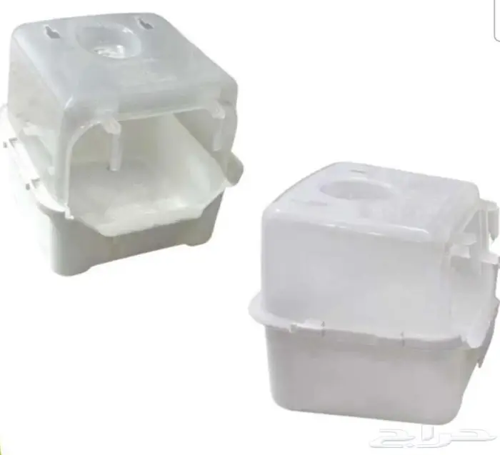 طيور زينة ومستلزماتها محل نوادر خميس مشيط 62