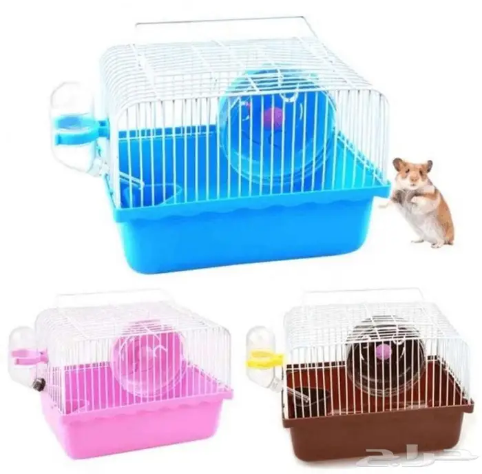 طيور زينة ومستلزماتها محل نوادر خميس مشيط 58