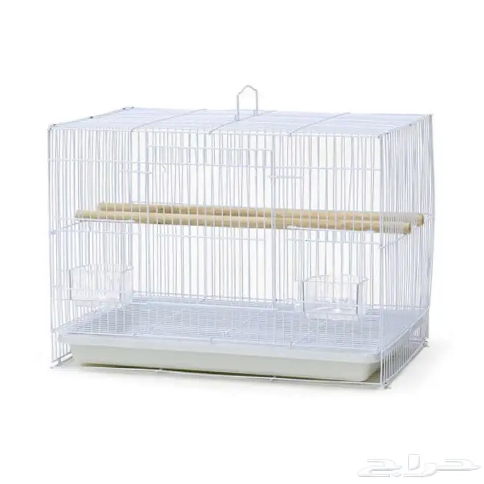 طيور زينة ومستلزماتها محل نوادر خميس مشيط 23