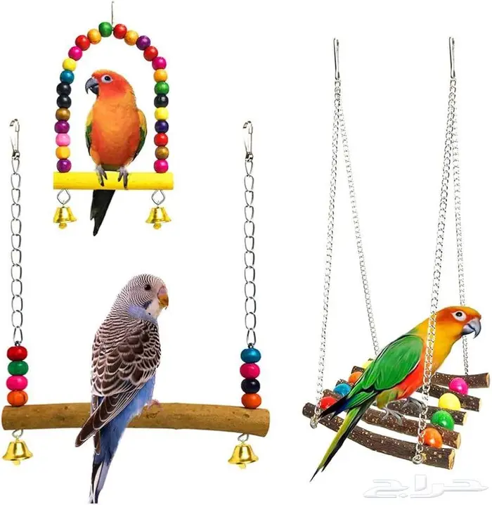 طيور زينة ومستلزماتها محل نوادر خميس مشيط 17