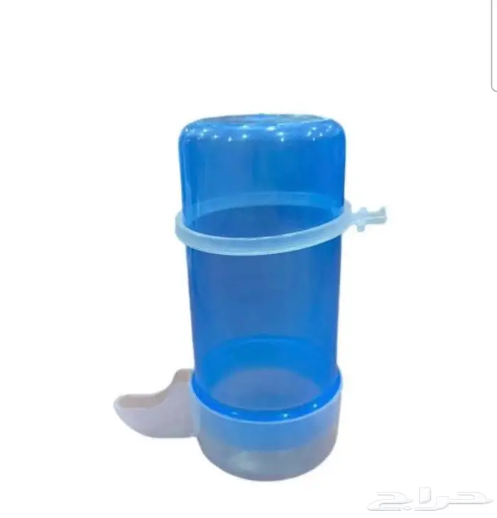 طيور زينة ومستلزماتها محل نوادر خميس مشيط 61