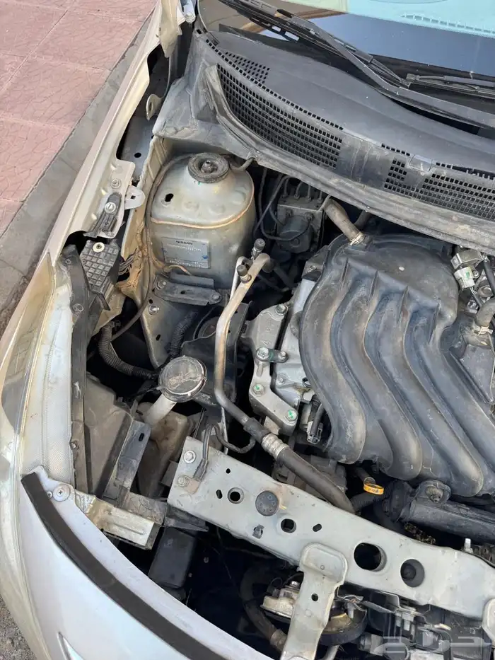 صني 2019 0