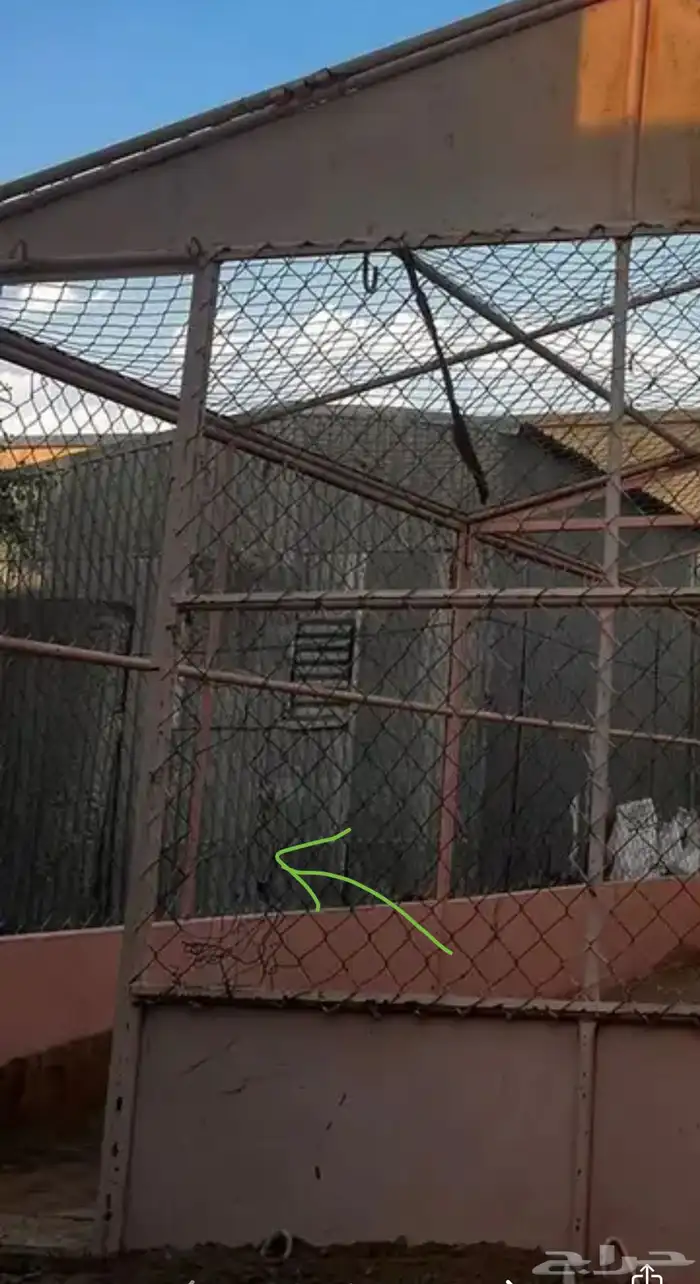 غرفة شبك 7في 4 5