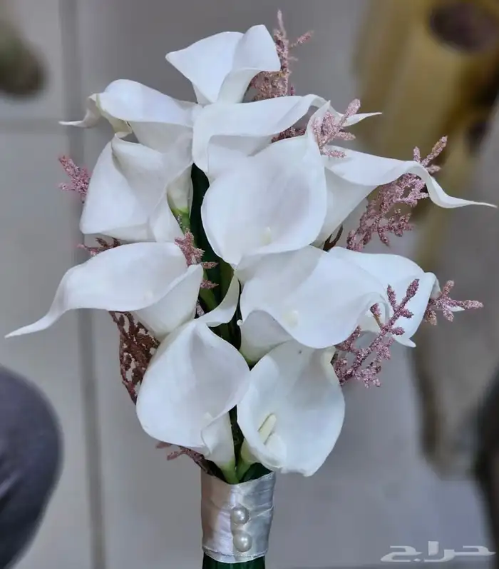 فستان .. مع مسكة عروس 1