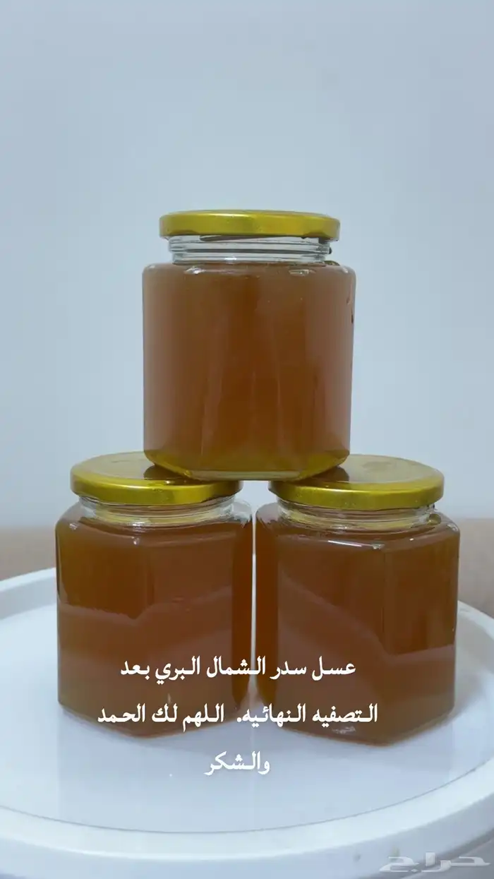 عسل سدر الشمال البري 0