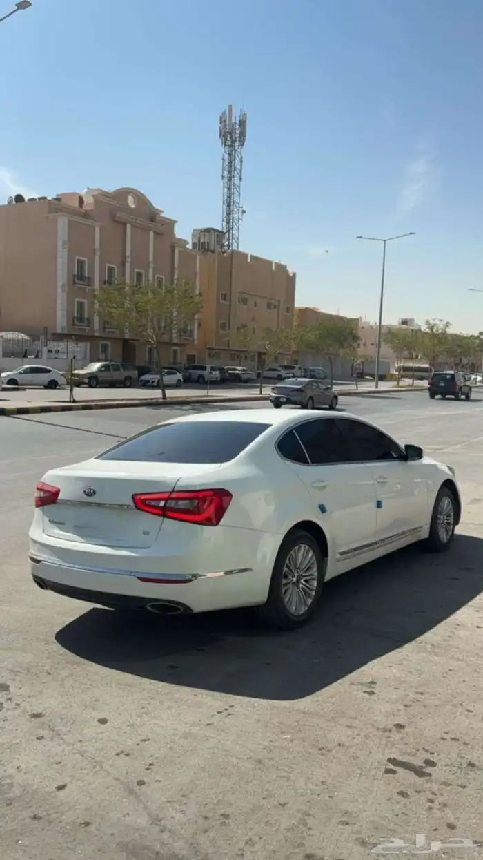 كادينزا 16 16