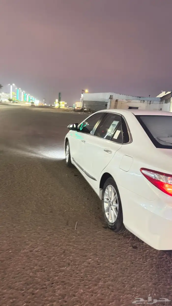القوز. حلي 2
