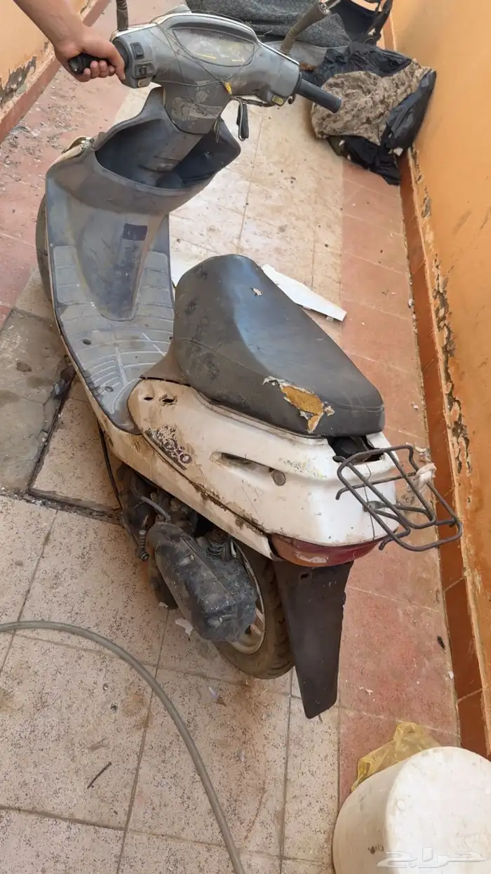 دباب بطه 0