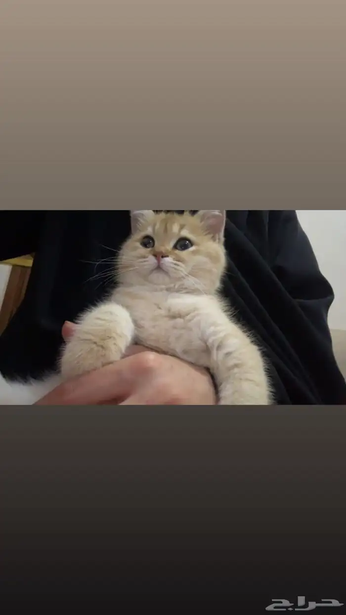 ذكر 5