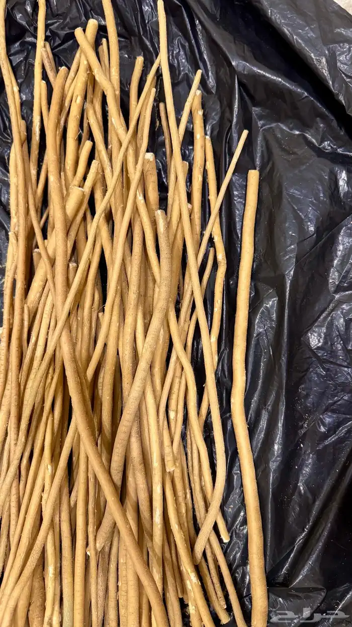 سواك الاراك متواجد في ضاحية الجبيل 0