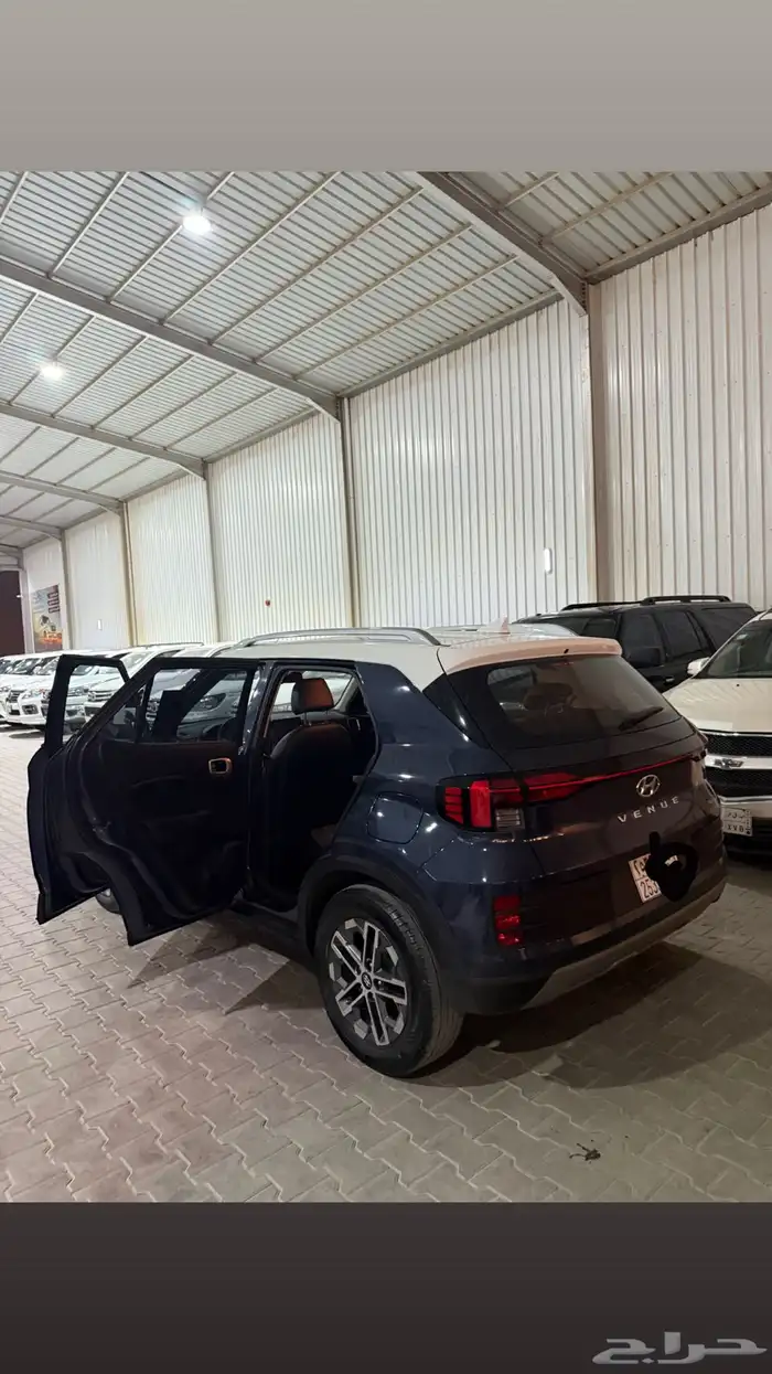 فينيو 2023 1