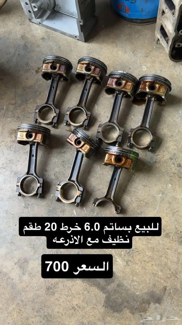 بساتم خرط 20 كابريس 1