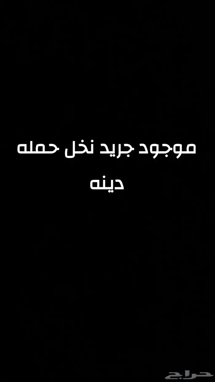 جريد نخل للبيع الموقع رنيه 0