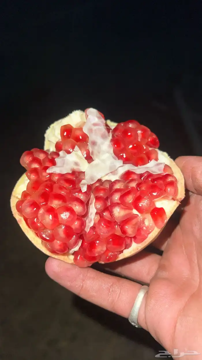 رمان بيده الباحه 0