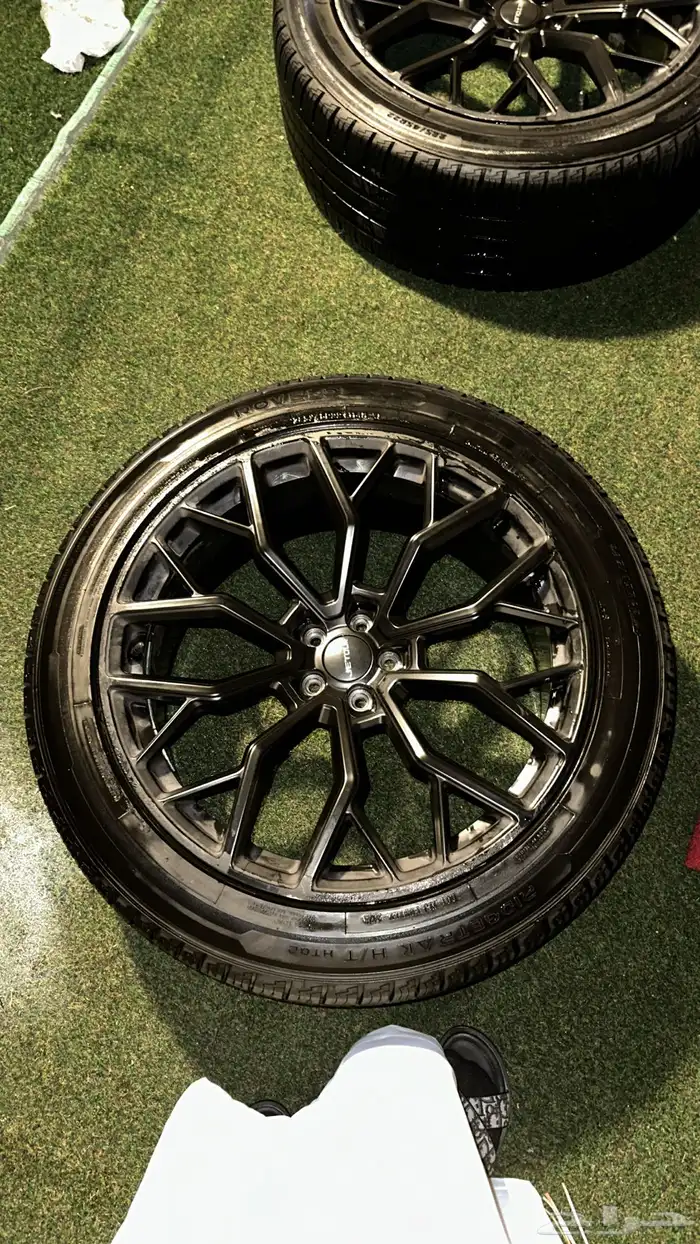 جنوط جيتور 6