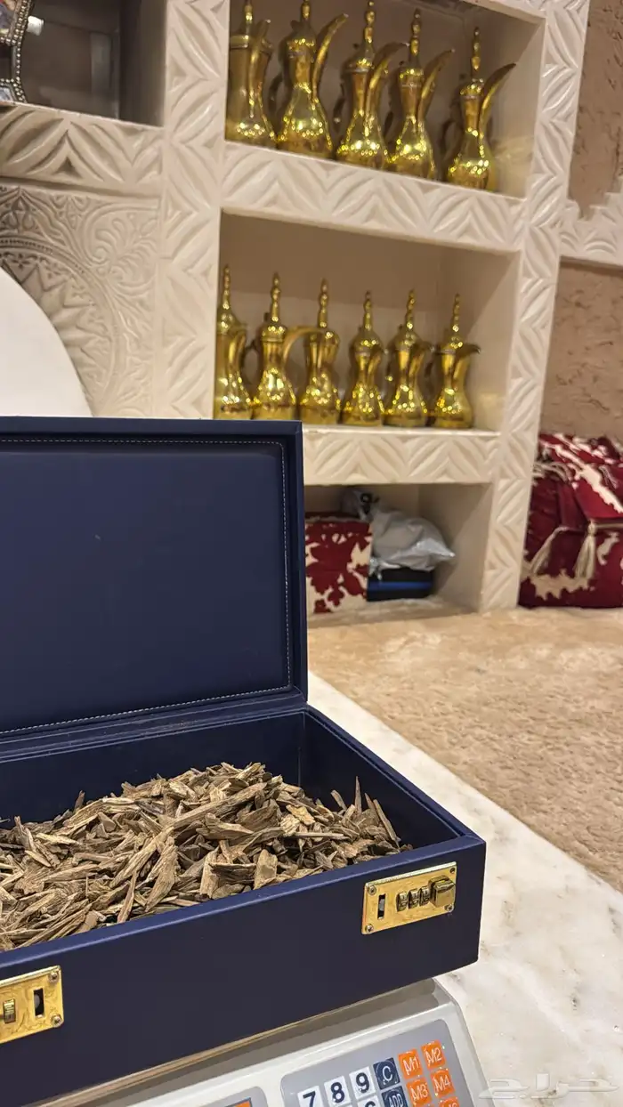 عود طبيعي كلمنتان وماليزي دقه قديم وارياني حي 1