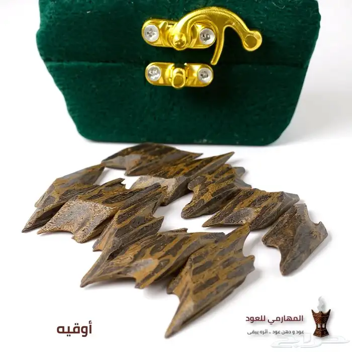 عود تايقر ملكي -درجة اولى 0
