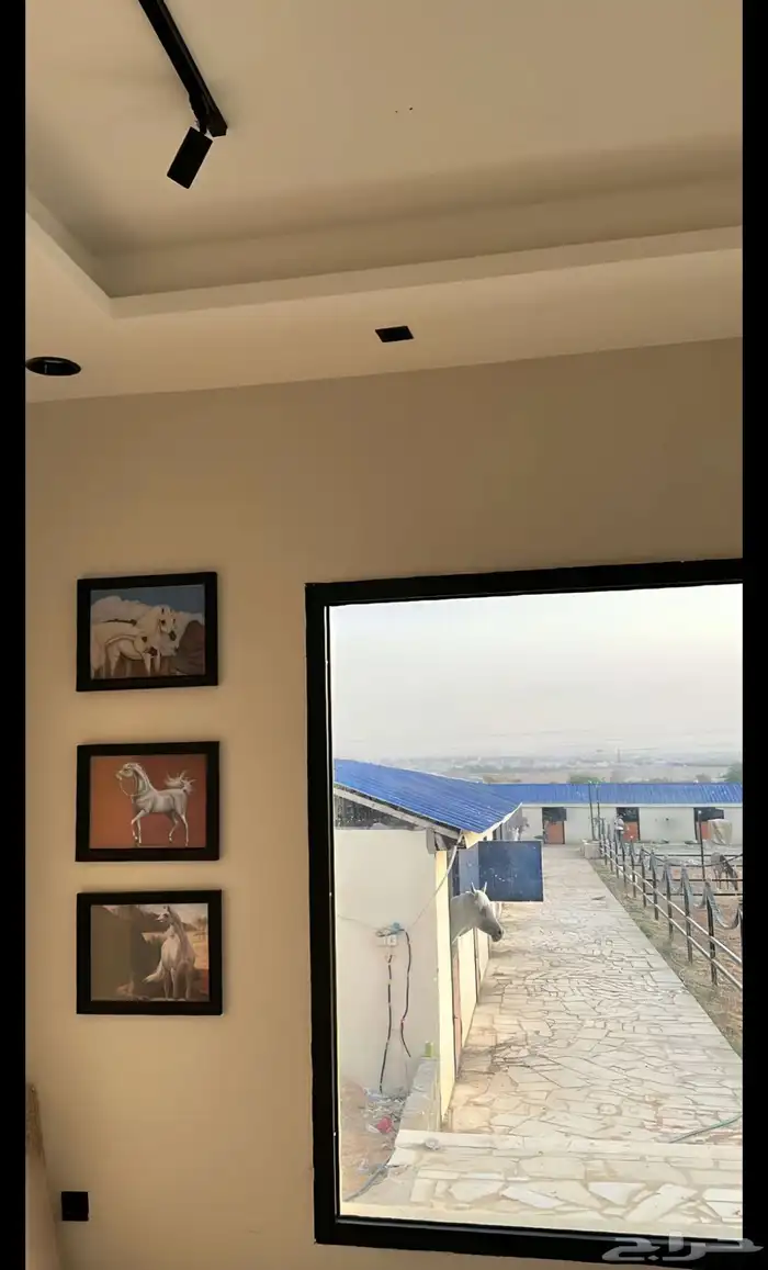 اسبطلات 0