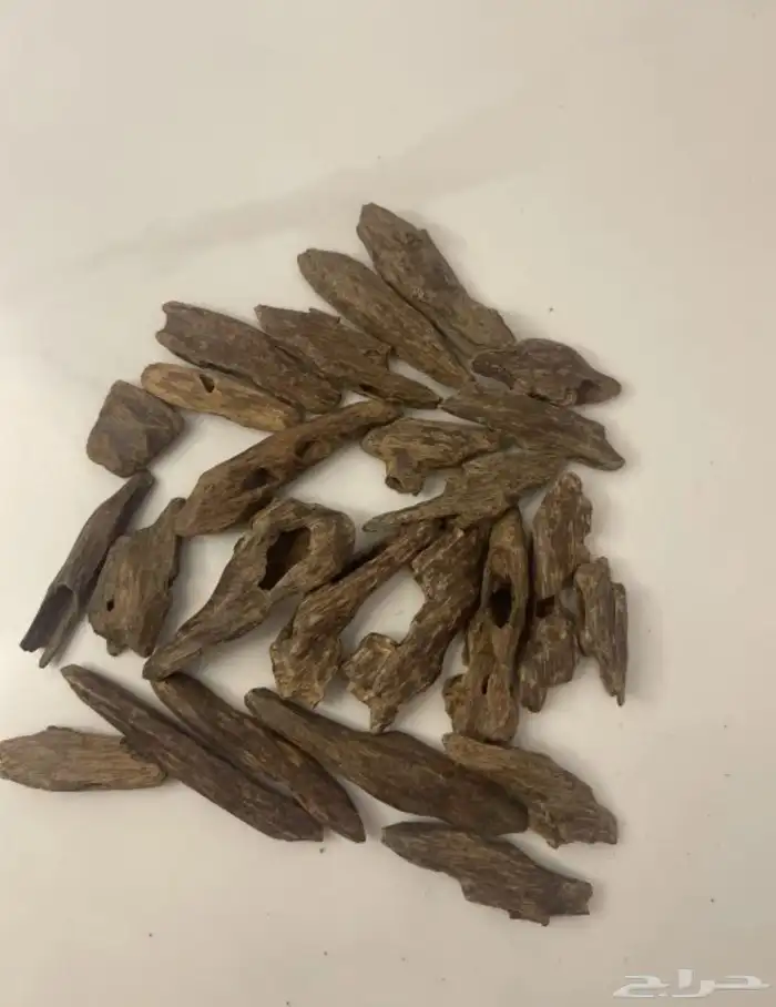 عرض عود وعطور 1