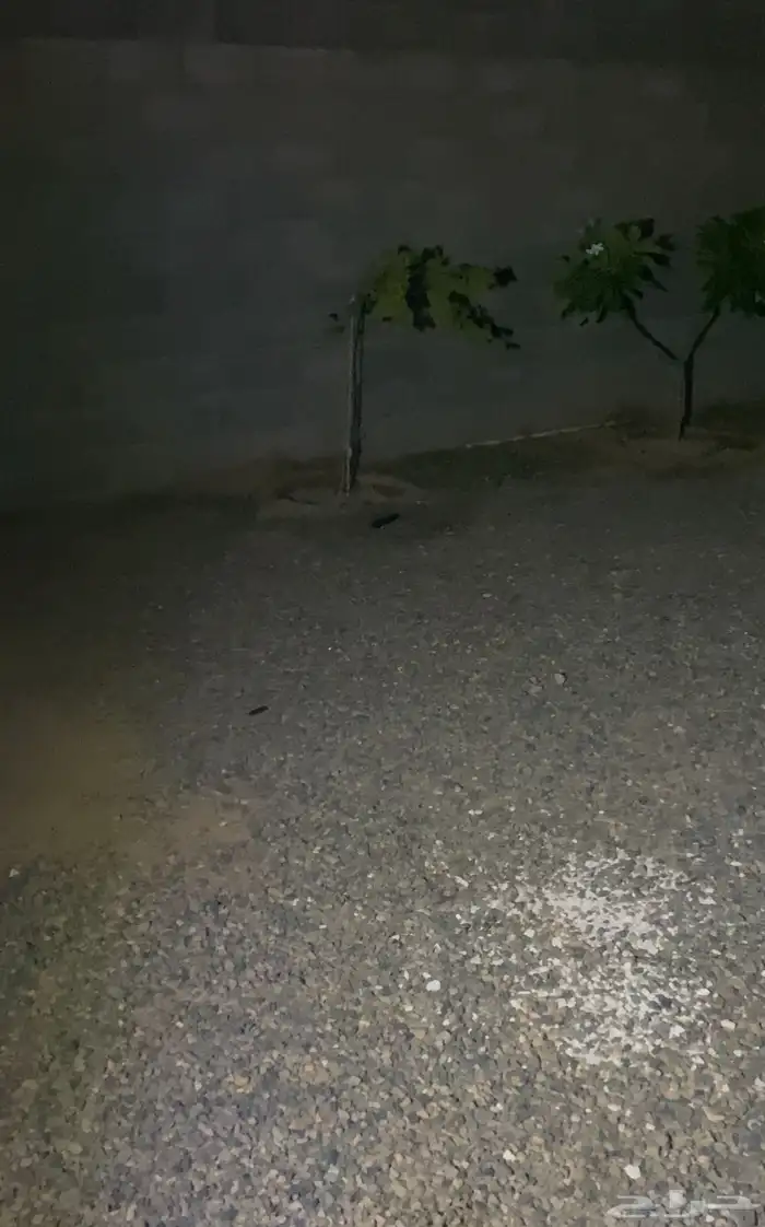 لمبات الطاقه الشمسيه 1