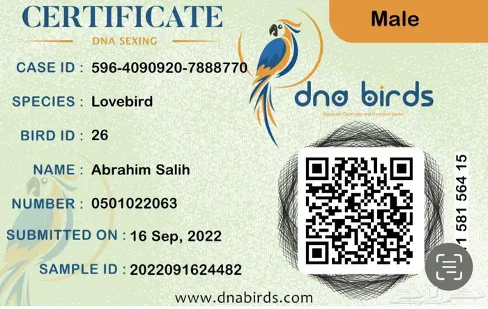 روز البينو ابيض 1
