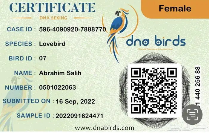 روز البينو ابيض 2