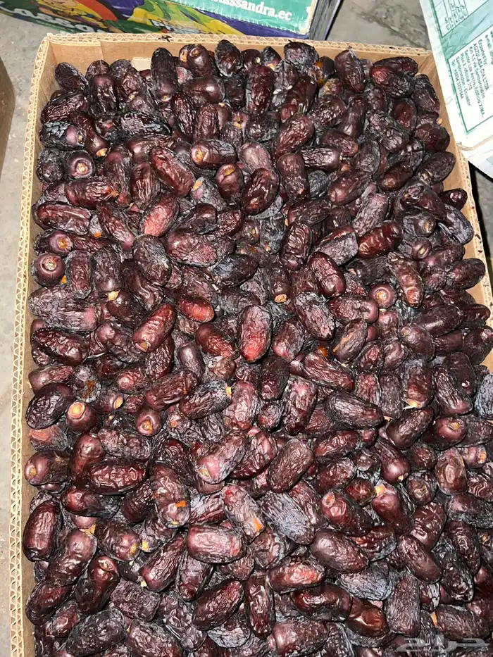 صفاوي 0