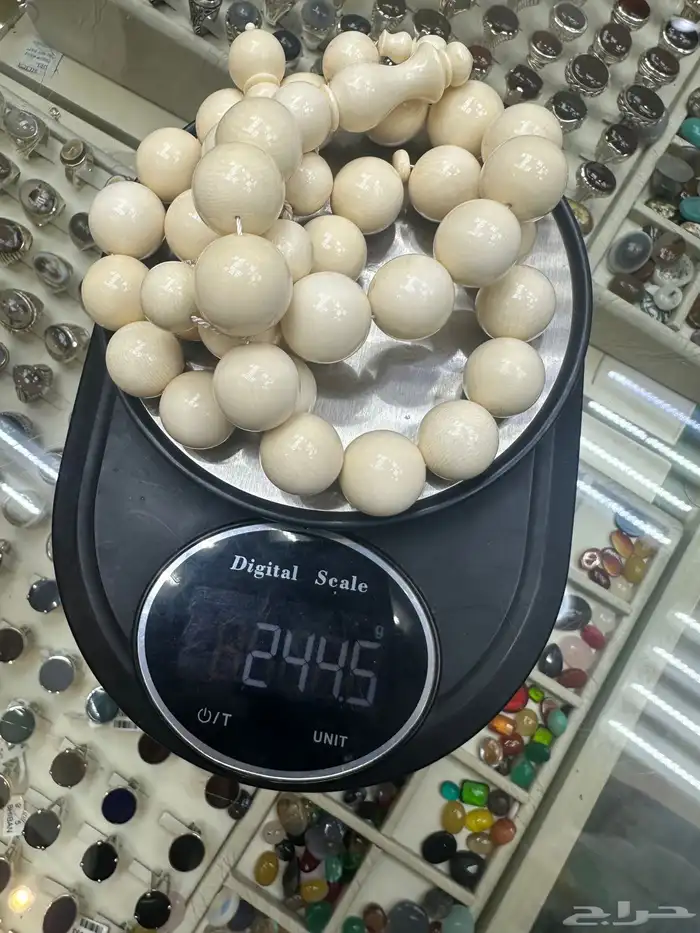 سبح عاج - ناب فيل سوبر جامبو فوق ربع الكيلو 2