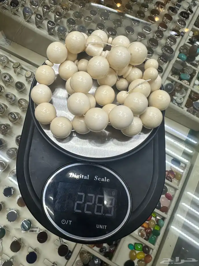 سبح عاج - ناب فيل سوبر جامبو فوق ربع الكيلو 1