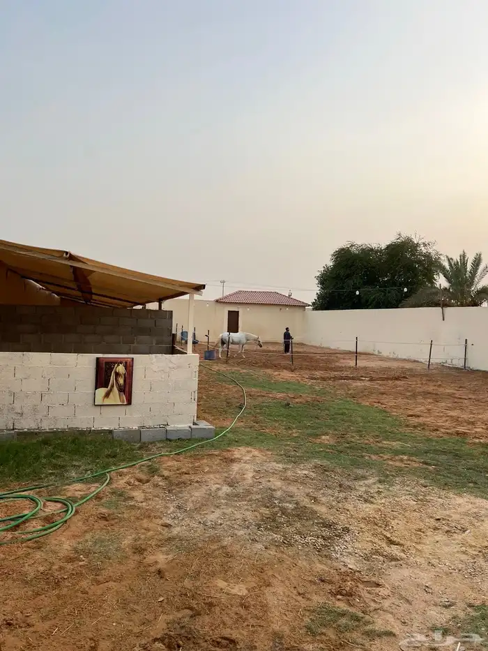 اسطبل 0