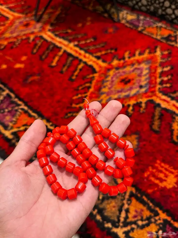 سبح يوجد توصيل لجميع مناطق المملكه 44