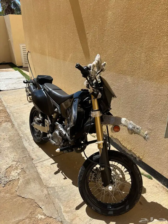 ديار 24 اسود 1