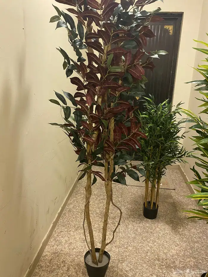 تحف وفازات 4