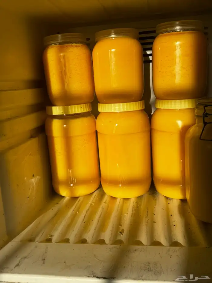 سمن بقر نظيف ومشروط 4