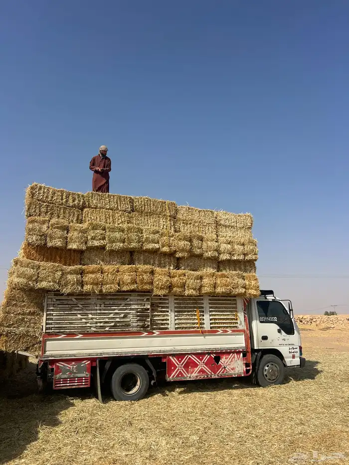 تبن بر 1