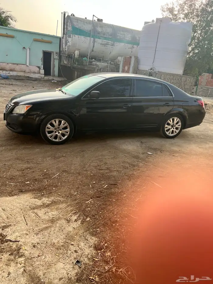 افالون 2009 القنفذه 8