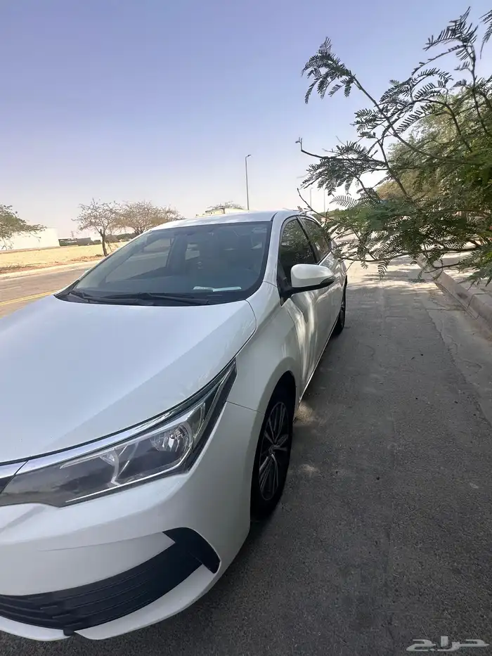 كورولا 2019 7