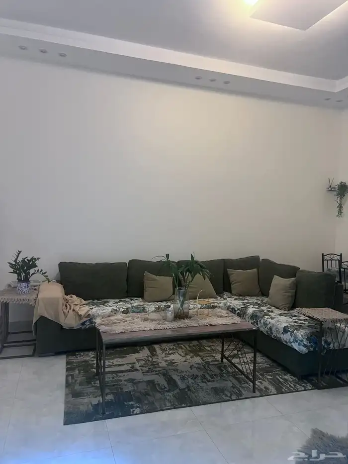 مطلوب شريكة سكن خميس مشيط حي الربيع 0