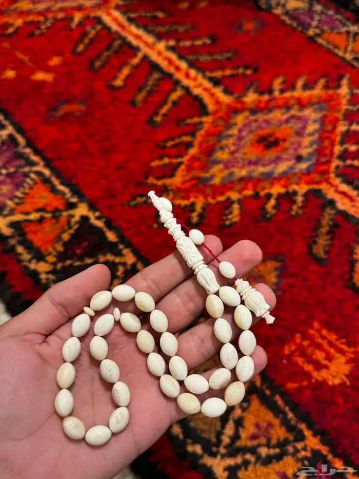 سبح يوجد توصيل لجميع مناطق المملكه 50
