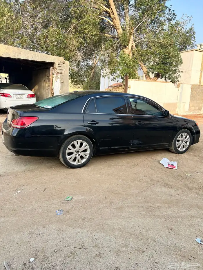 افالون 2009 القنفذه 10