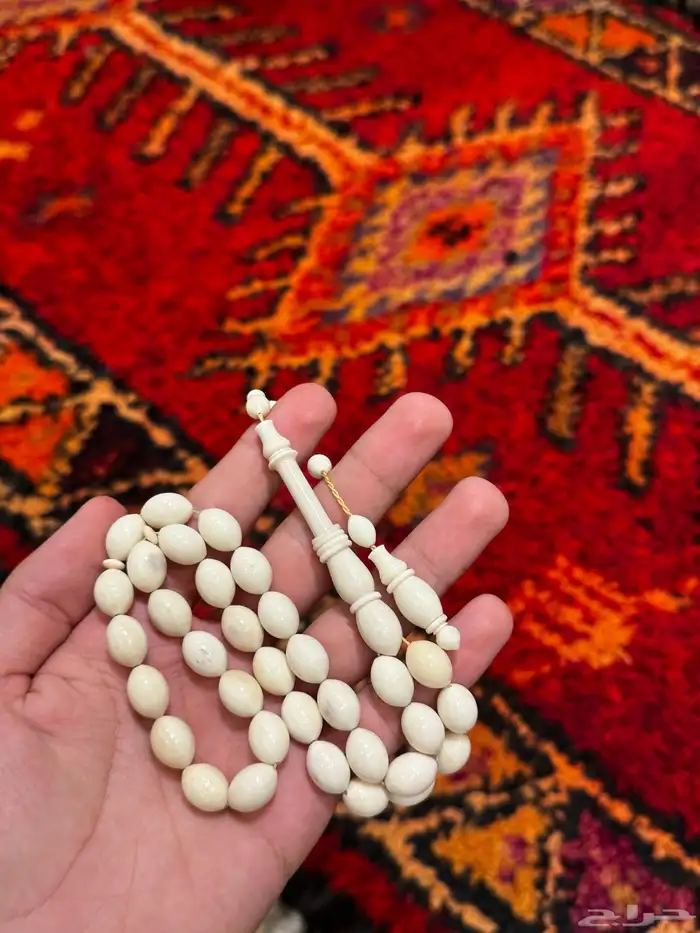 سبح يوجد توصيل لجميع مناطق المملكه 49