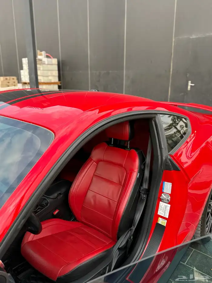 موستنج 2020 4