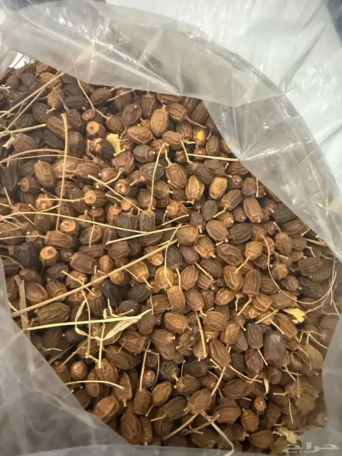 بذور نيم و الزنزلخت 1