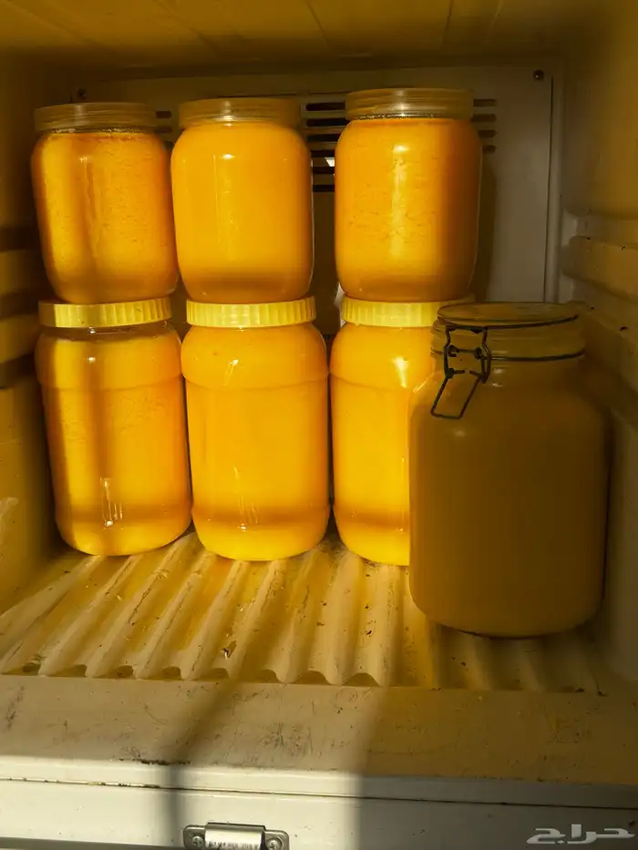 سمن بقر نظيف ومشروط 5