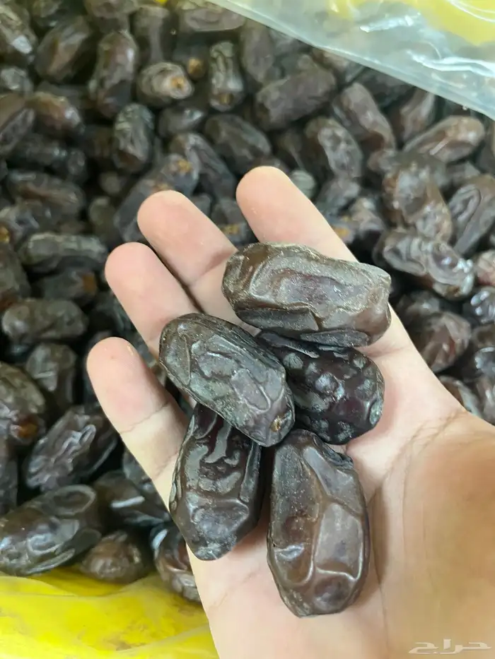 تمر خضري 0