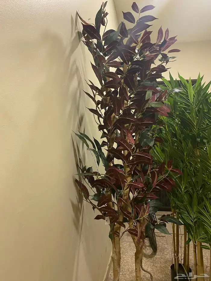 تحف وفازات 9