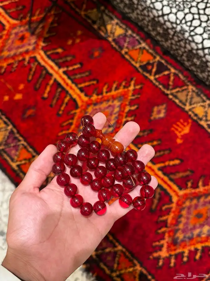 سبح يوجد توصيل لجميع مناطق المملكه 72