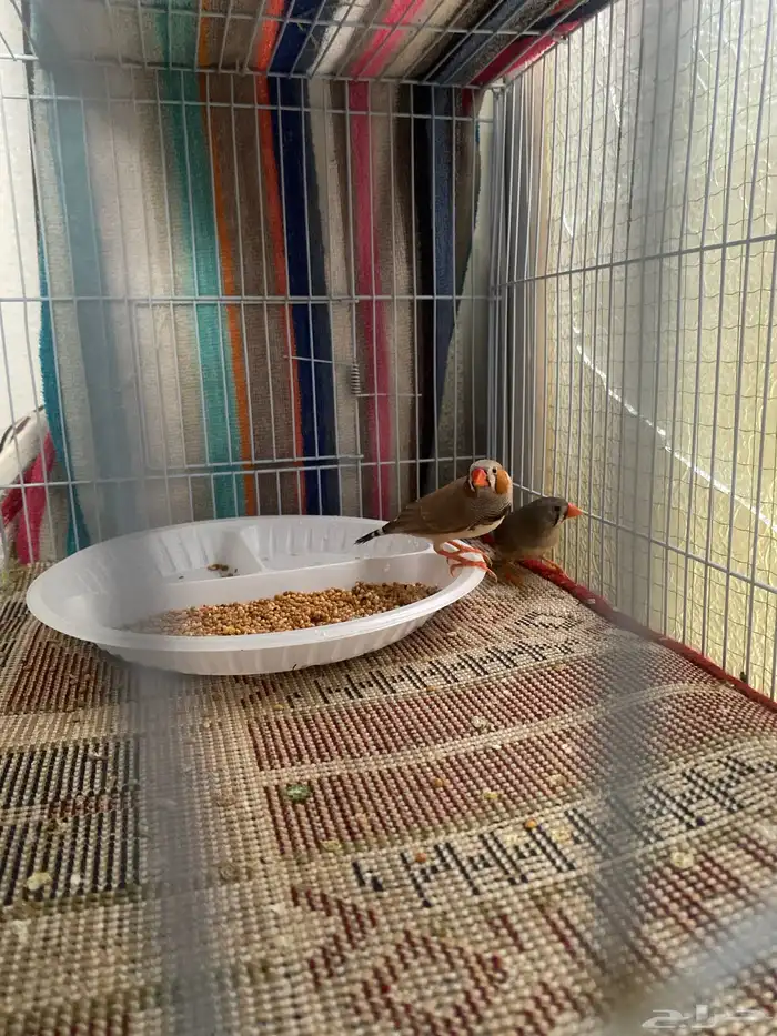 سلام عليكم ورحمة الله وبركاته 1