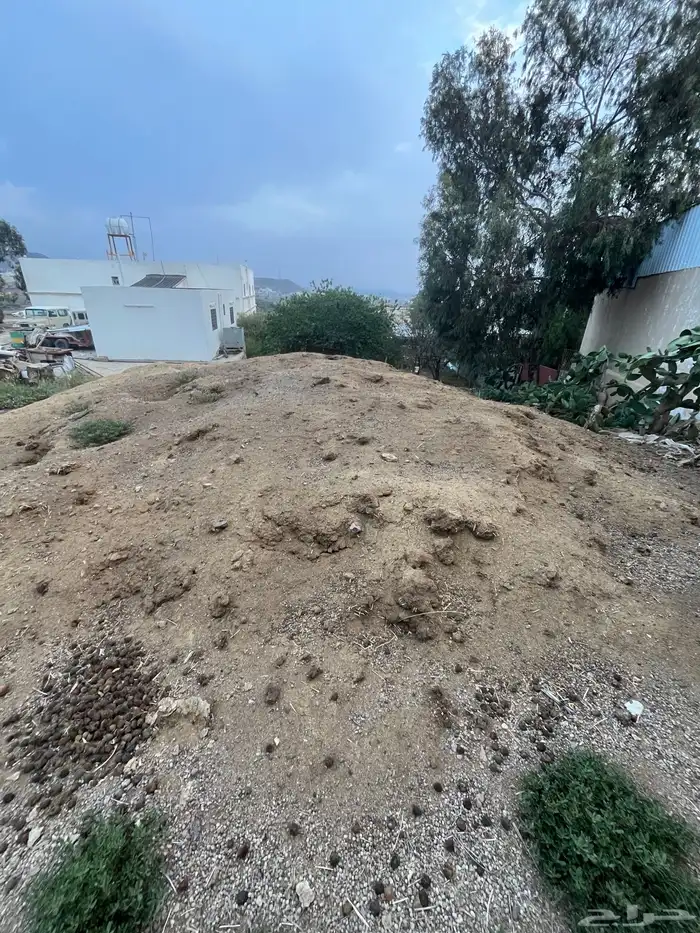 سماد قديم للبيع 0