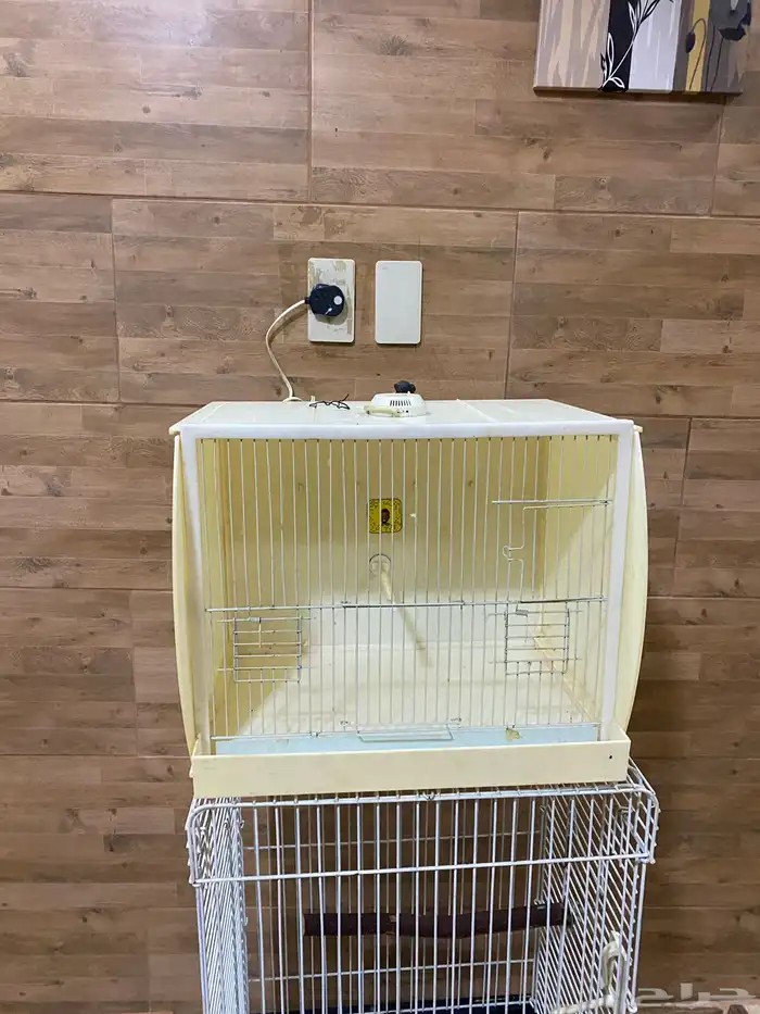 قفص ببقاء و استديو تصوير 2